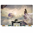 thay-man-hinh-roi-cho-macbook-pro-16-inch-2019-a2141-chinh-hang-gen-a-1.jpg