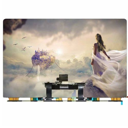 DTV thay-man-hinh-roi-cho-macbook-pro-16-inch-2019-a2141-chinh-hang-gen-a-1.jpg