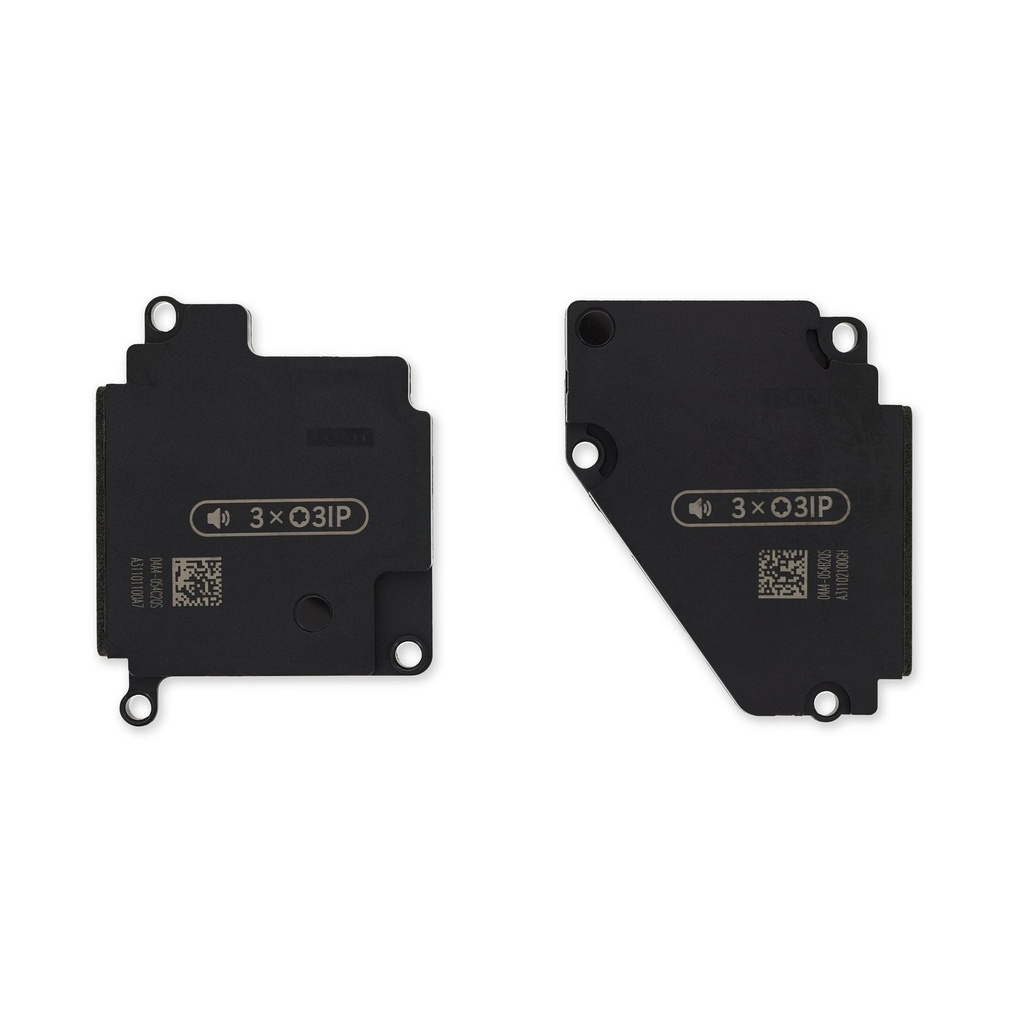 Thay Loa Surface Pro 10 for Business