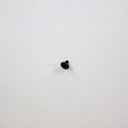 Thay Bộ ốc vít Laptop Lenovo - 5S10K81631