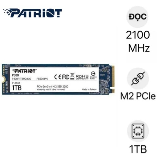 Thay SSD Patriot P300 M.2 NVMe 1TB