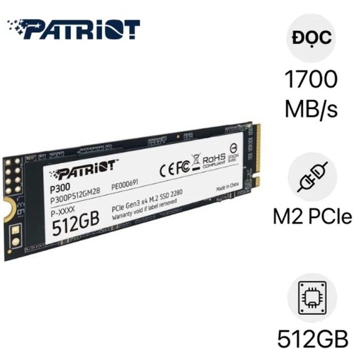 Thay SSD Patriot P300 M.2 NVMe 512GB