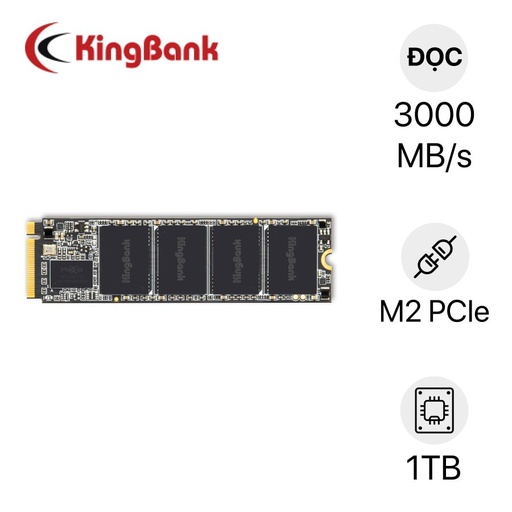 Thay SSD Kingbank KP130 M.2 NVMe 1TB